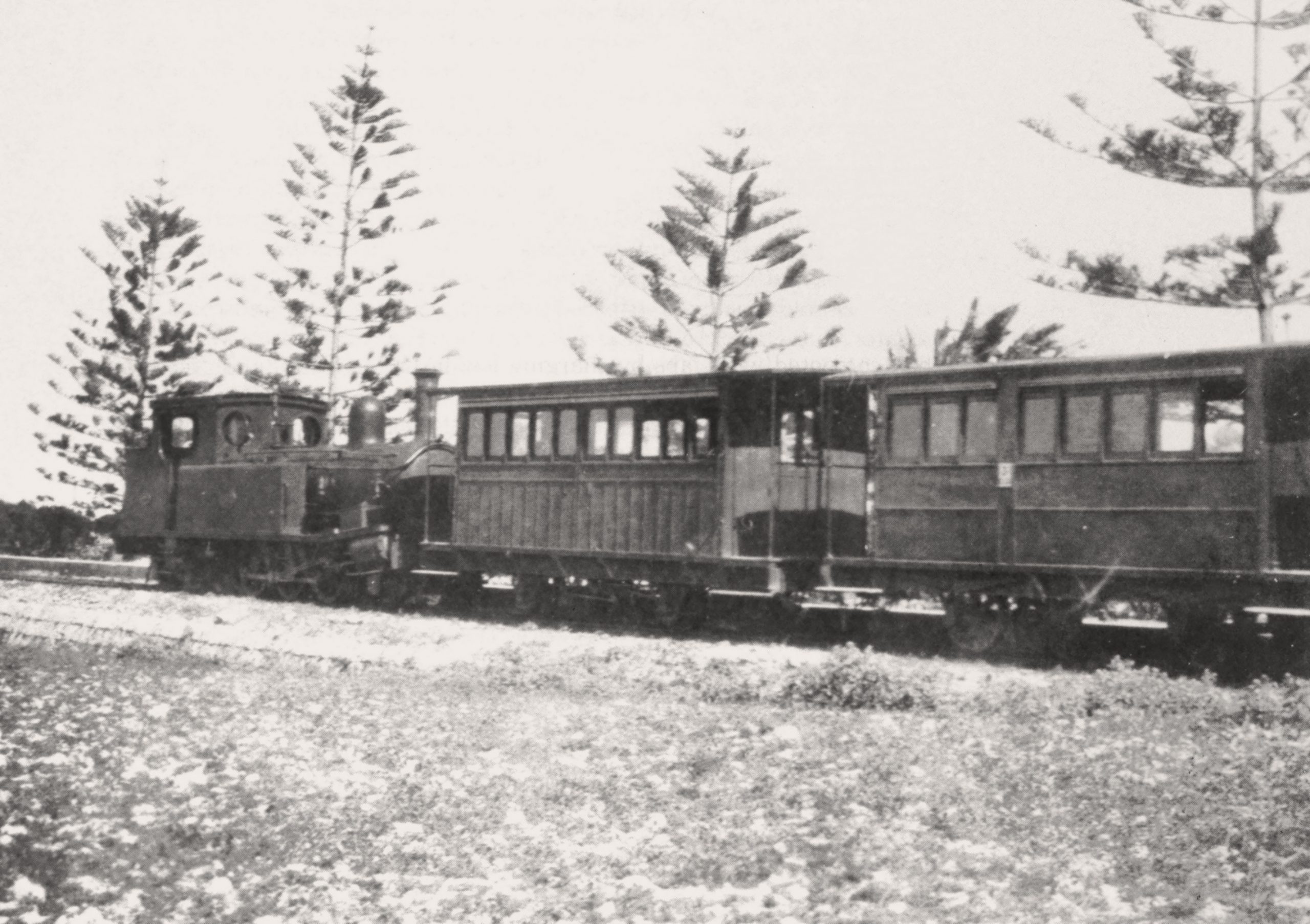A rather empty looking train waits at San Salvatore station, its platform just visible behind the carriages and engine. San Salvatore had a mix of trees that gave it a distinct character. The Norfolk Island Pines visible over the train roofs were interspersed with palms.