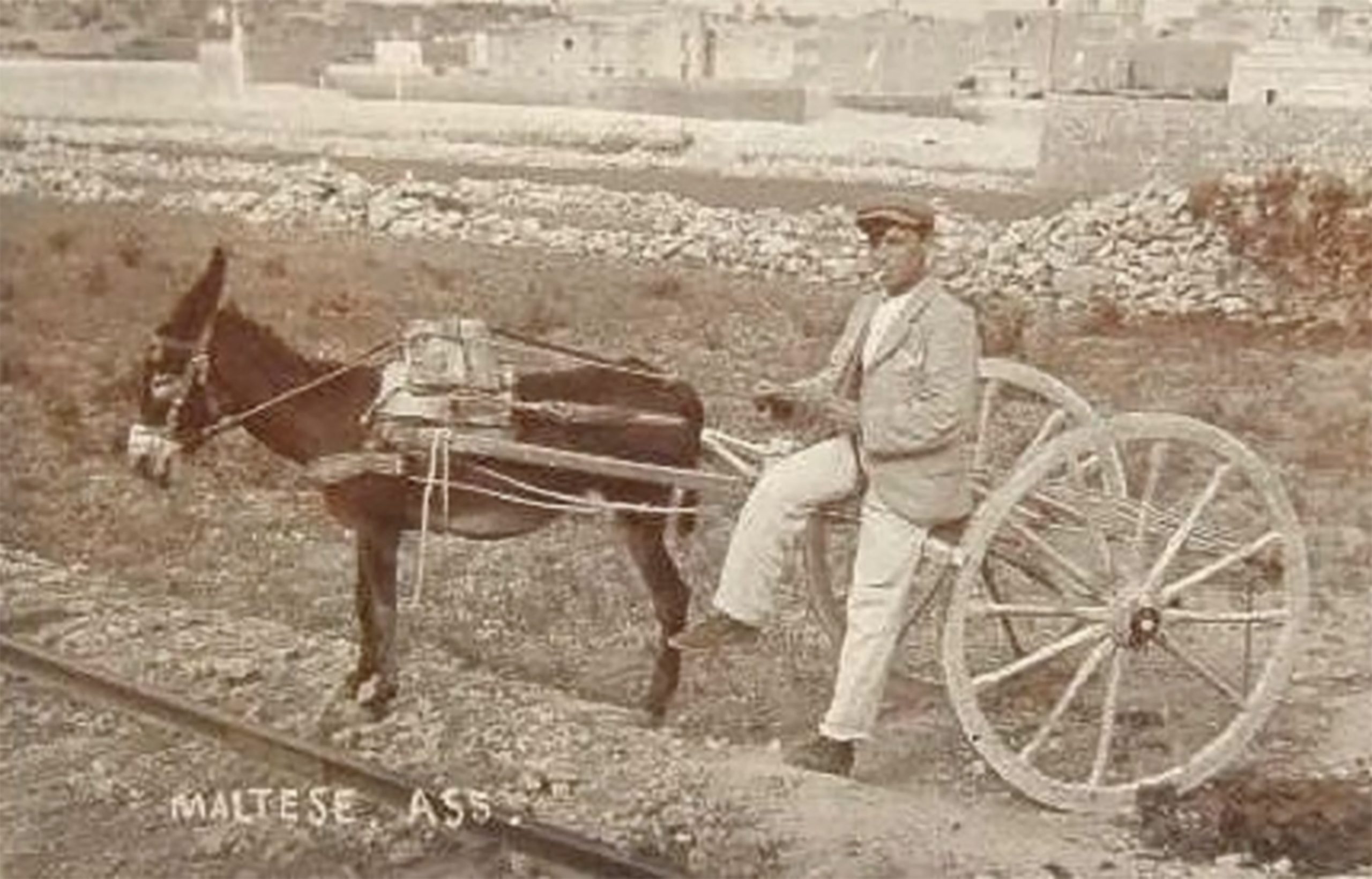An early 20th Century postcard view of a cart taken from the elevated position of Balzan's platform. The railway track is seen in the foreground.