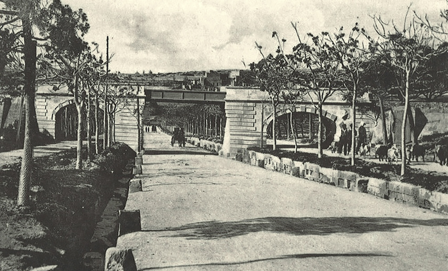 Princess Melita Avenue disappears under the railway bridge and into the distance towards Gwardamanga. Another small matching bridge spanned the Ta' Braxia road just out of frame to the left. These were perhaps the work of architect Andrea Vassallo.