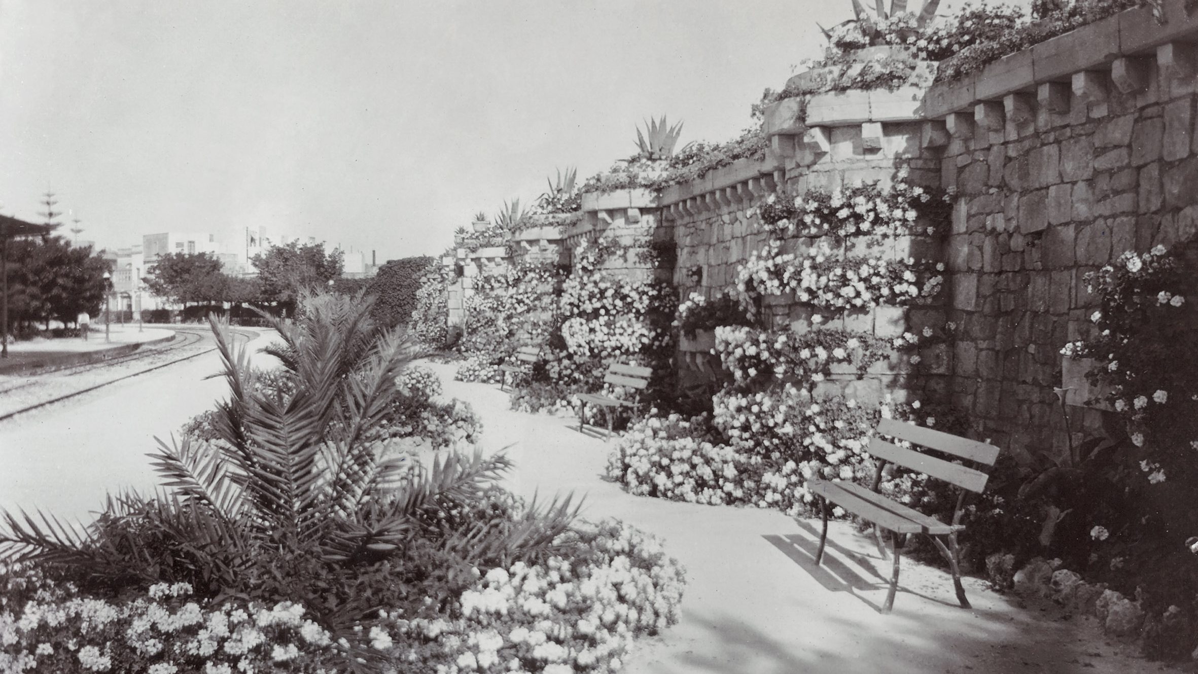 Birkirkara station platform with its hanging gardens, seen in 1912, represented the zenith of Nicola Buhagiar's campaign to transform the railway's stations with landscaped gardens. With architectural training General manager Nicola Buhagiar could sidestep the Office of Public Works and take on responsibility for designing the stations to his own specification. (National Archives of Malta)