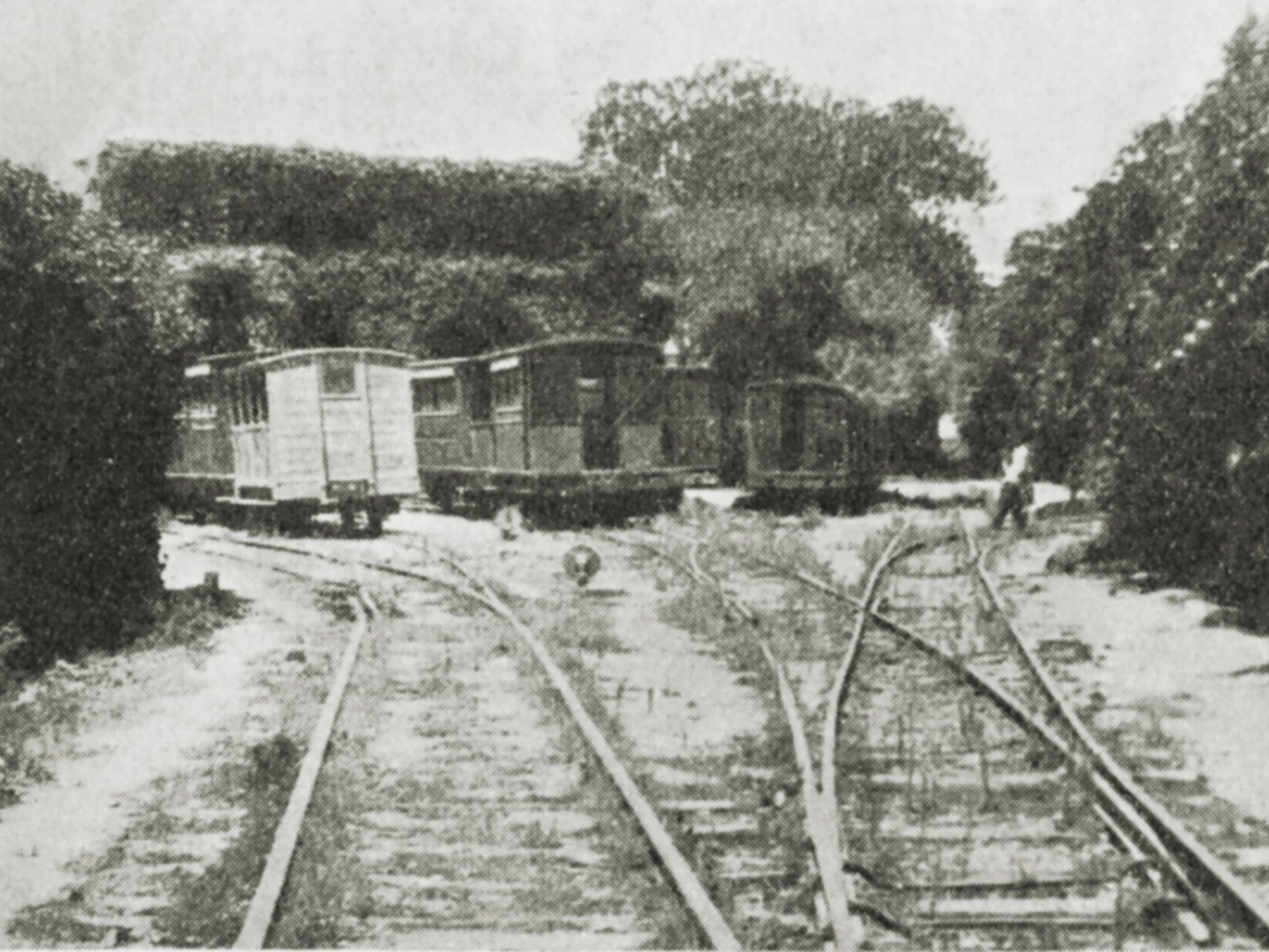 With buildings overgrown, Hamrun was still littered with obsolete carriages in 1934.