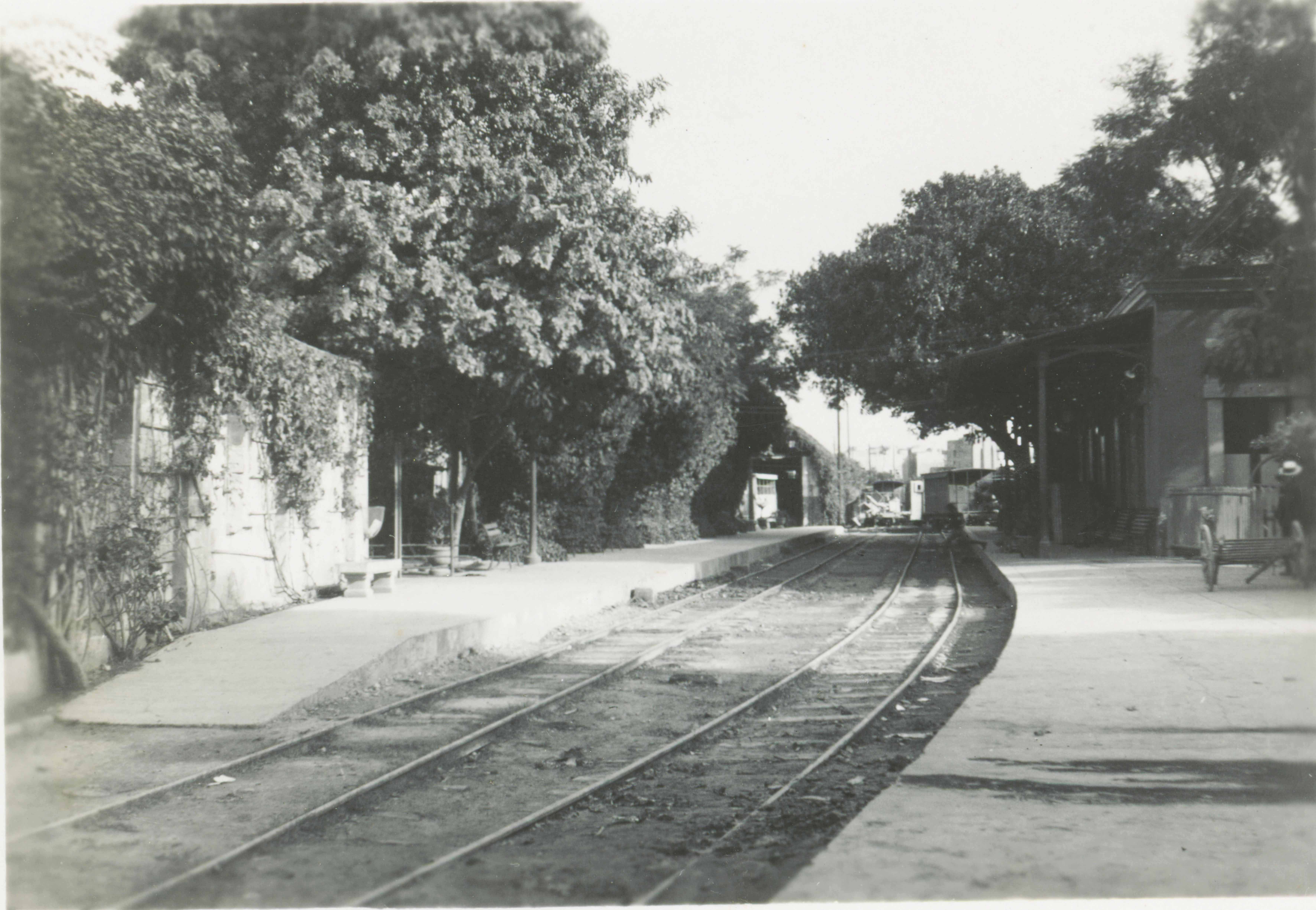 Several years after closure, Hamrun station is quiet and empty. The station gardens continue to thrive. 